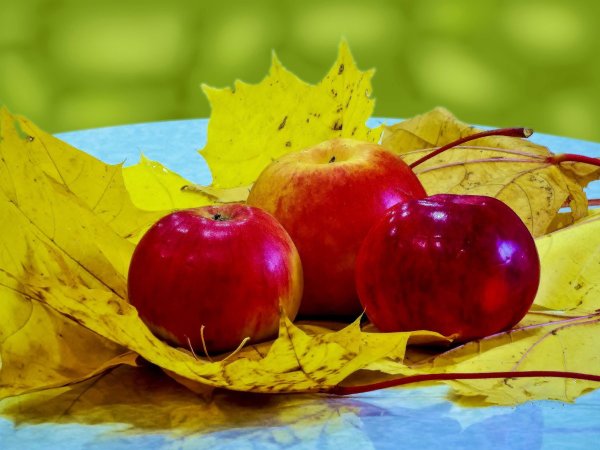 Осенние яблоки
