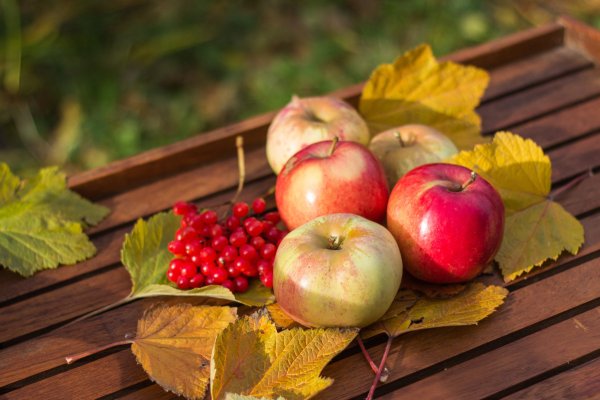 Осень яблоки
