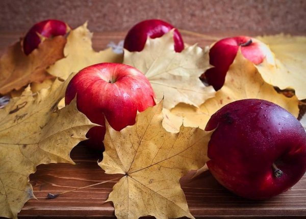 Яблоки на осенней листве