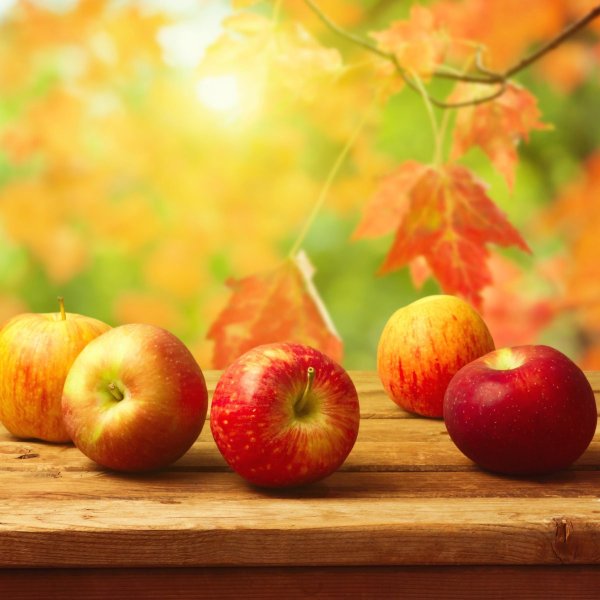 Осень яблоки