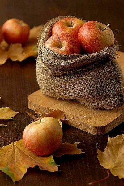 Осенние овощи и фрукты