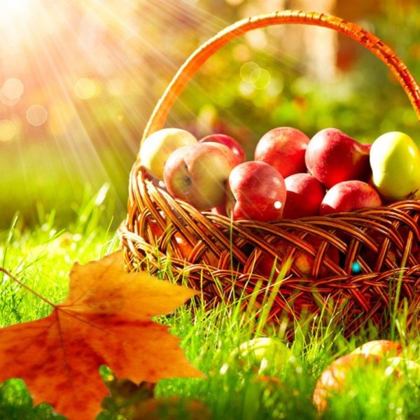 Корзинка с яблоками