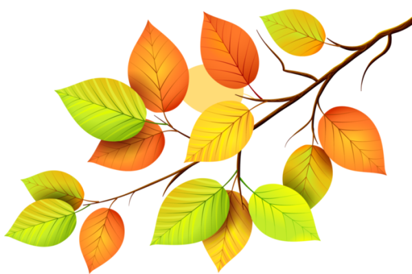 Ветка осенних листьев