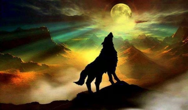 Волк на обрыве