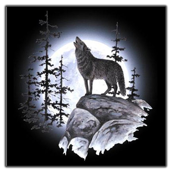 Волк Луна лес