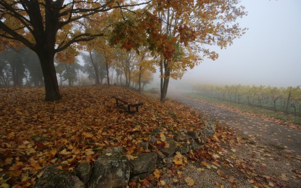 Поздняя осень