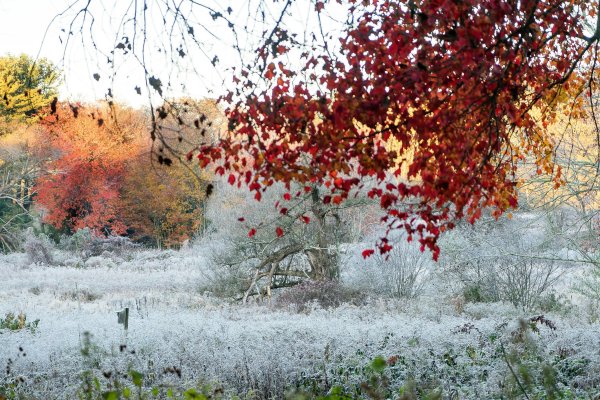 Ноябрь природа