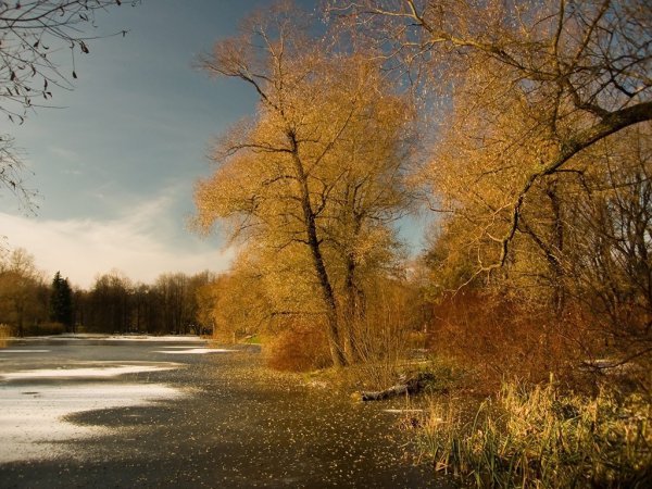 Поздней осенью