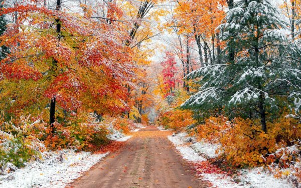 Поздней осенью