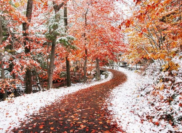 Поздняя осень