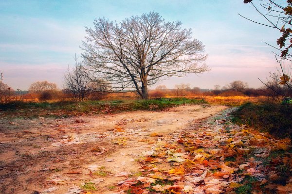 Доброе осеннее туманное утро в городе