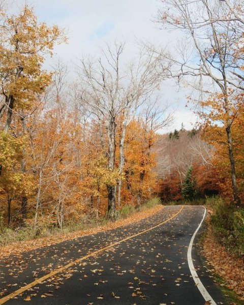 Дорога в осень