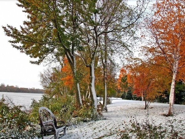 Поздняя осень