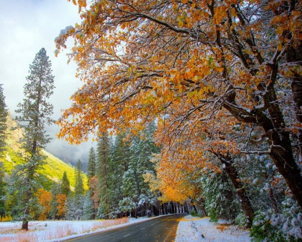 Поздняя осень