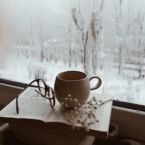 Дождливое зимнее утро