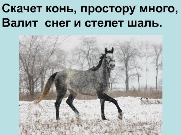 Скачет конь простору много