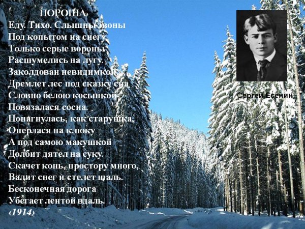 Сергей Есенин стихотворение пороша