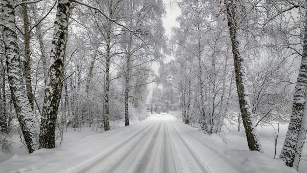 Зимняя пороша