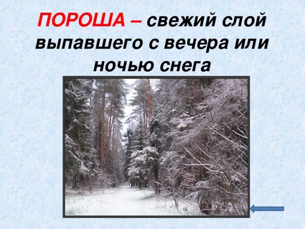 Стихотворение пороша