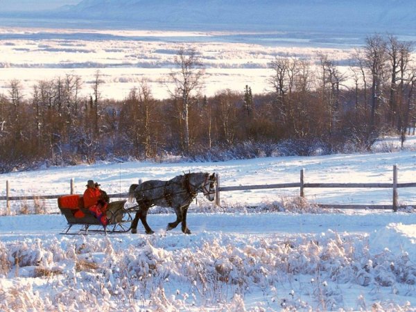 Пороша Есенин фото