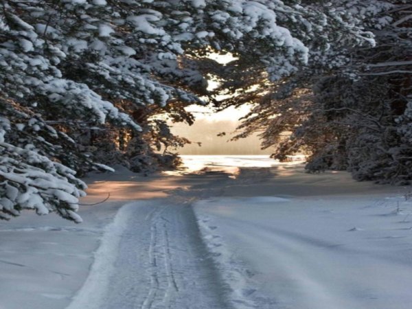 Пороша Есенин