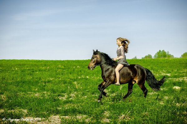 Скачу на скакуне