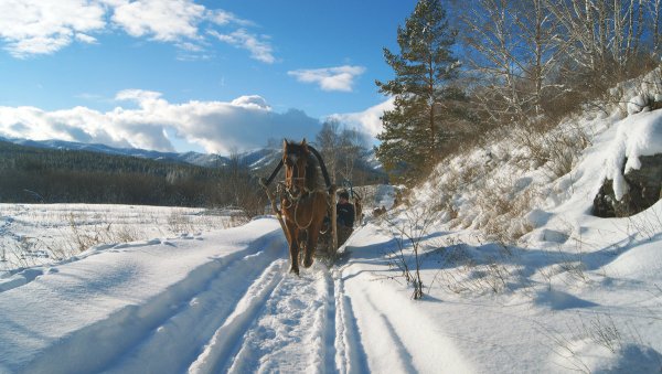 Зимняя дорога с лошадью