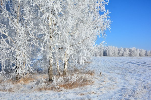 Зима в Омской области
