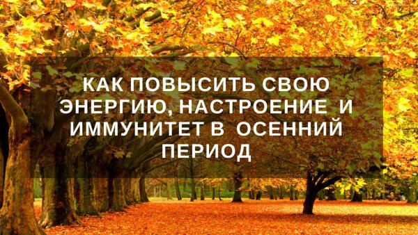 Осень укрепить иммунитет