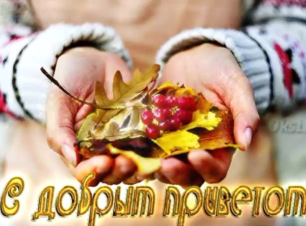 Доброго осеннего утра и крепкого здоровья