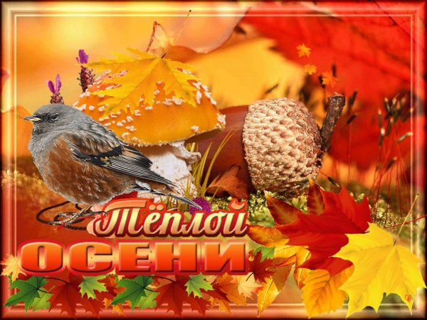 Теплой счастливой осени