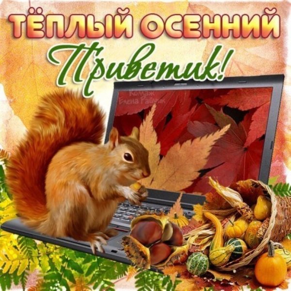 Открытки с теплой осенью