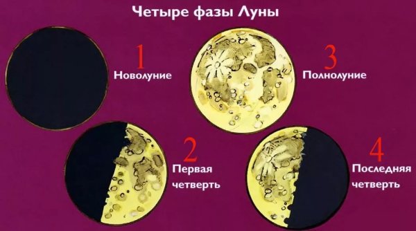 Фазы Луны новолуние первая четверть полнолуние последняя четверть