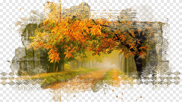 Осенний пейзаж на прозрачном фоне