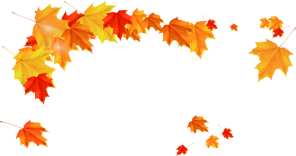 Осенний листопад без фона