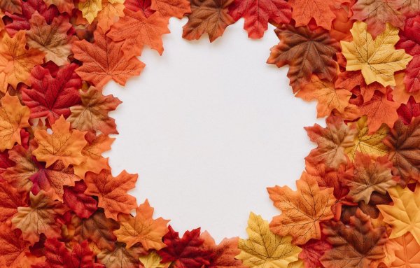 Осенние листья