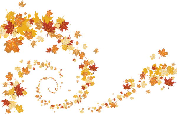 Осенняя листва на прозрачном фоне