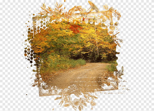 Осень на прозрачном фоне