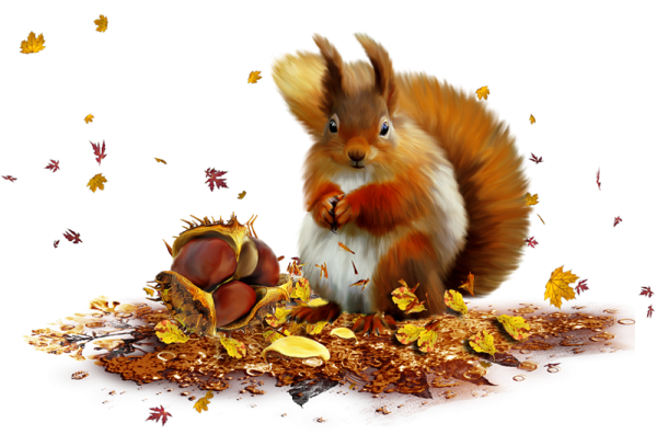Осенние животные на прозрачном фоне
