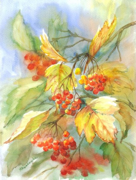Осенние листья живопись акварель