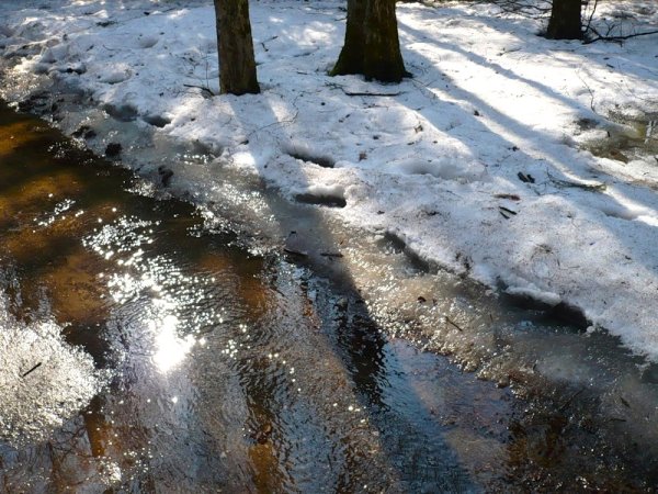 Весенние ручейки в городе