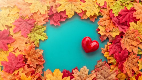 Сердце из осенних листьев