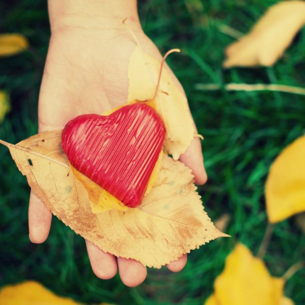 Осеннее сердце