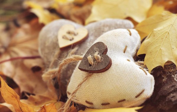 Уютная осень любовь