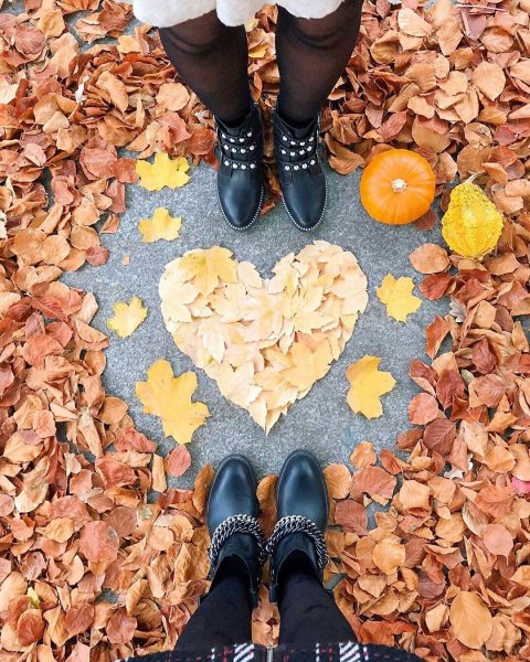 Сердце из осенних листьев