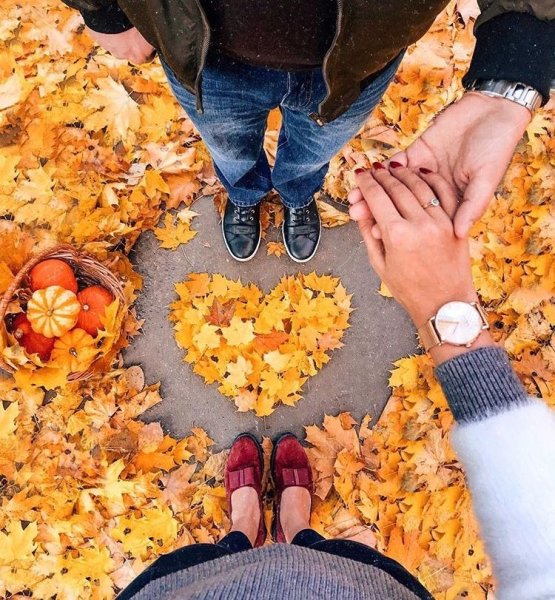 Осень любовь