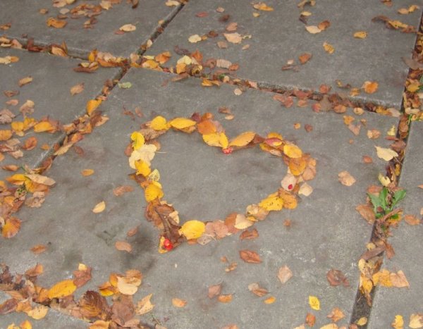 Сердце из осенних листьев
