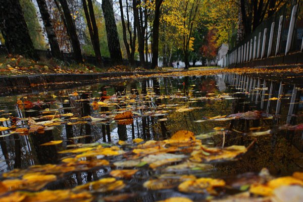 Осенние лужи