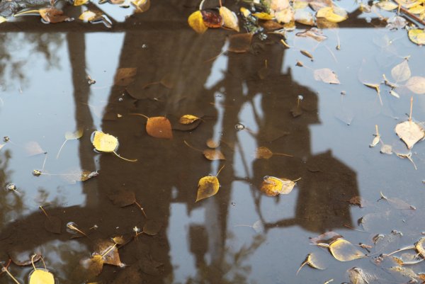 Осень лужи