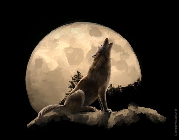 Волчья Луна 2022
